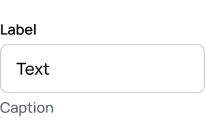 Text Input